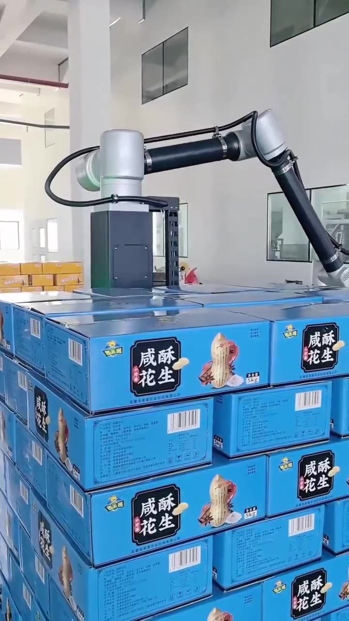 Carton Food Palletizing
