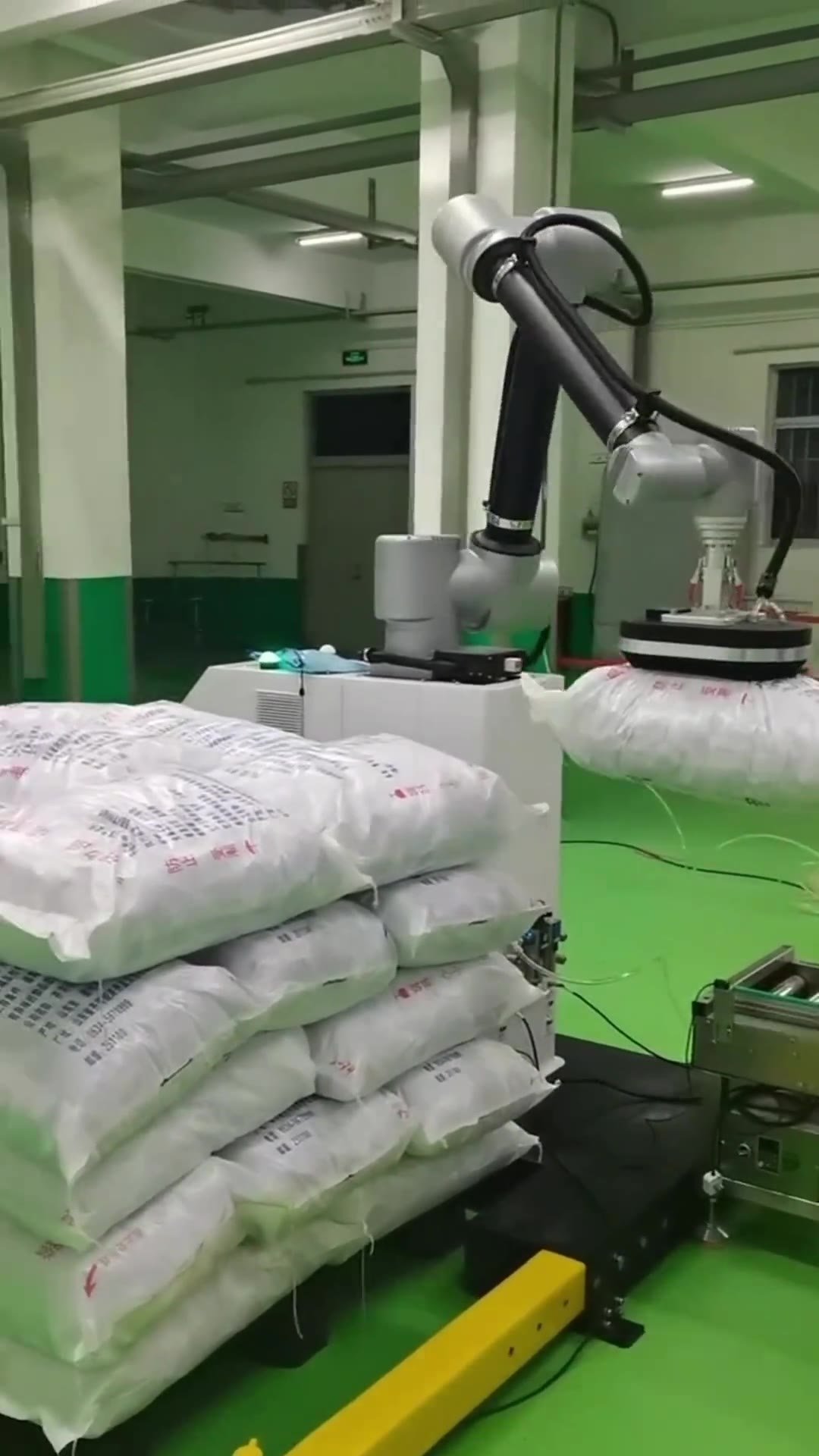 Bagged Powder Palletizing